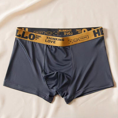 Ice Silk Graphene Underwear