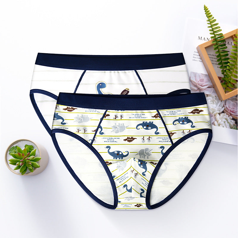 Boys Cotton Boxer Briefs