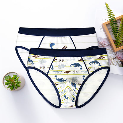 Boys Cotton Boxer Briefs