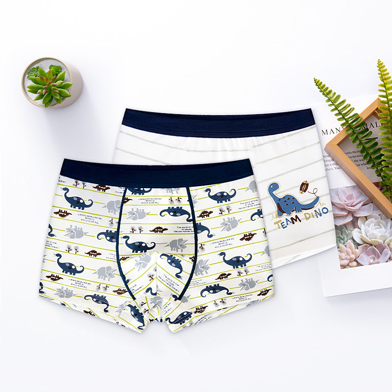 Boys Cotton Boxer Briefs