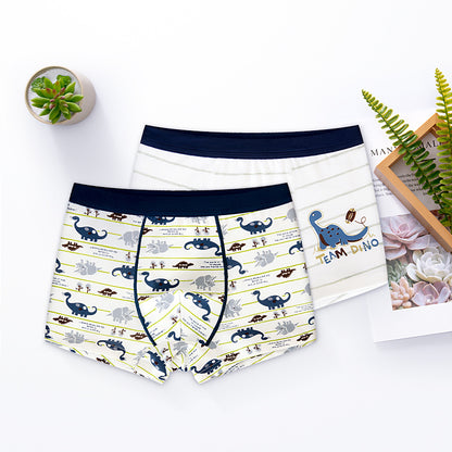 Boys Cotton Boxer Briefs
