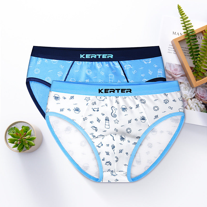 Boys Cotton Boxer Briefs